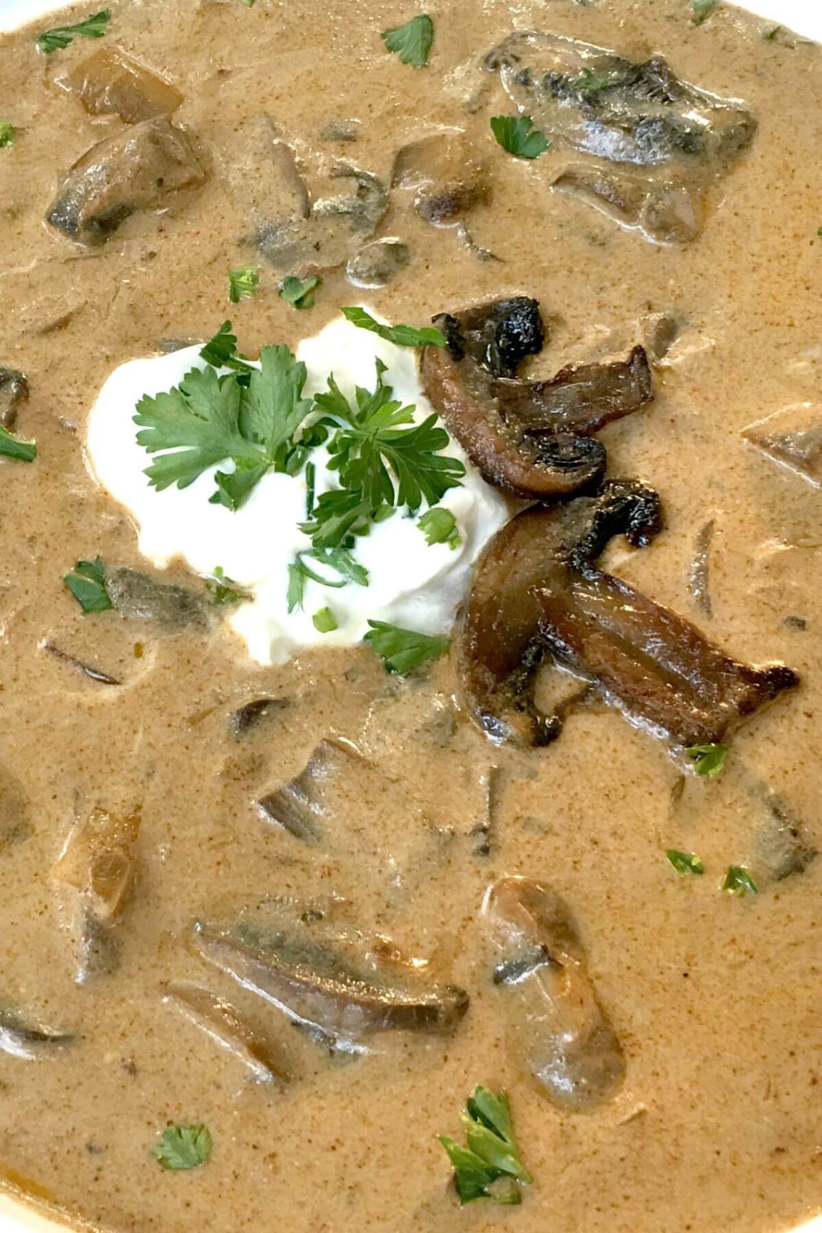 Close-Up Photo of The Best Hungarian Mushroom Soup Recipe