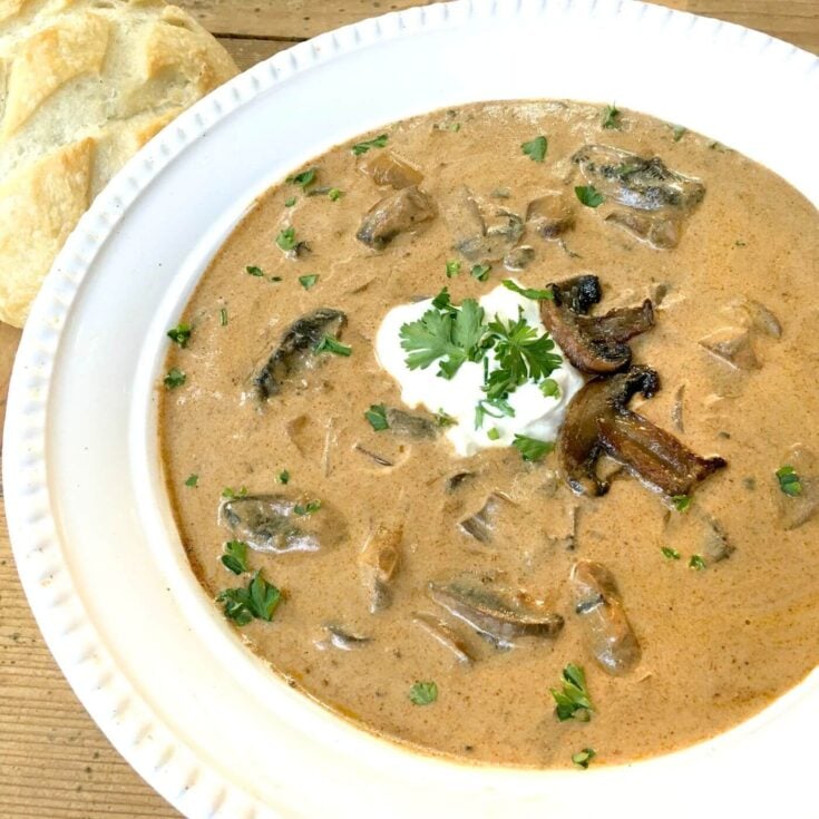 The Best Hungarian Mushroom Soup Recipe