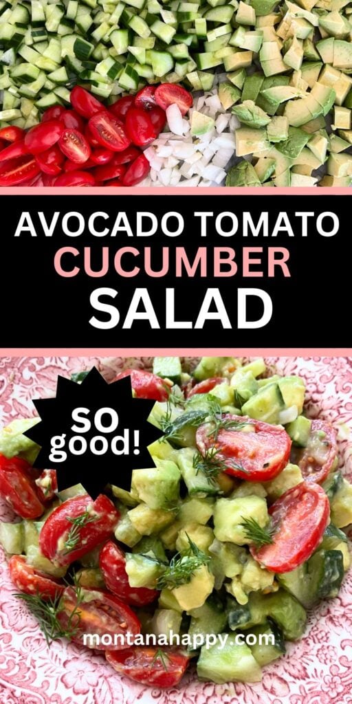 Best Avocado Salad with Red Wine Vinaigrette is the perfect salad that is both healthy and delicious! It's so easy to make too! Cucumbers, Grape Tomatoes, Avocado, Dill, and Onion are the main ingredients in this recipe. / Salad Recipes / Salad Recipe Ideas / Spring Meals / Healthy Side Dish / Healthy Side Dishes for Chicken / Avocado Recipes / Spring Salads / Spring Salad Ideas / Summer Salad Ideas / Summer Salads / Side Dishes for BBQ / Side Dishes for Steak / Side Dishes for Salmon 