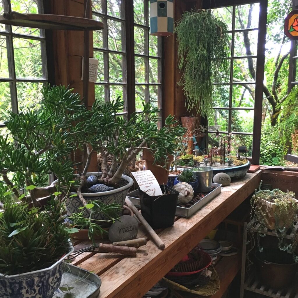 Inside Photo of Potting Shed with Plants