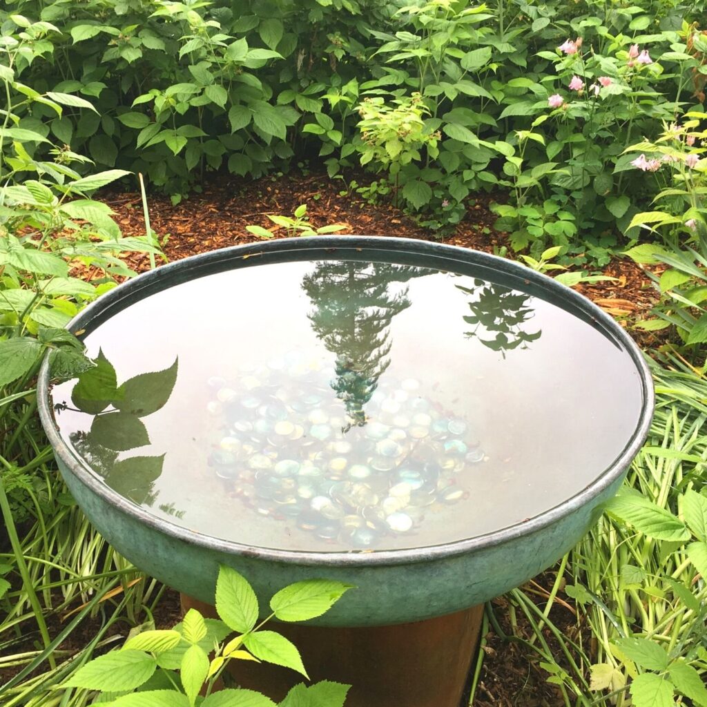 Potting Garden Shed Backyard