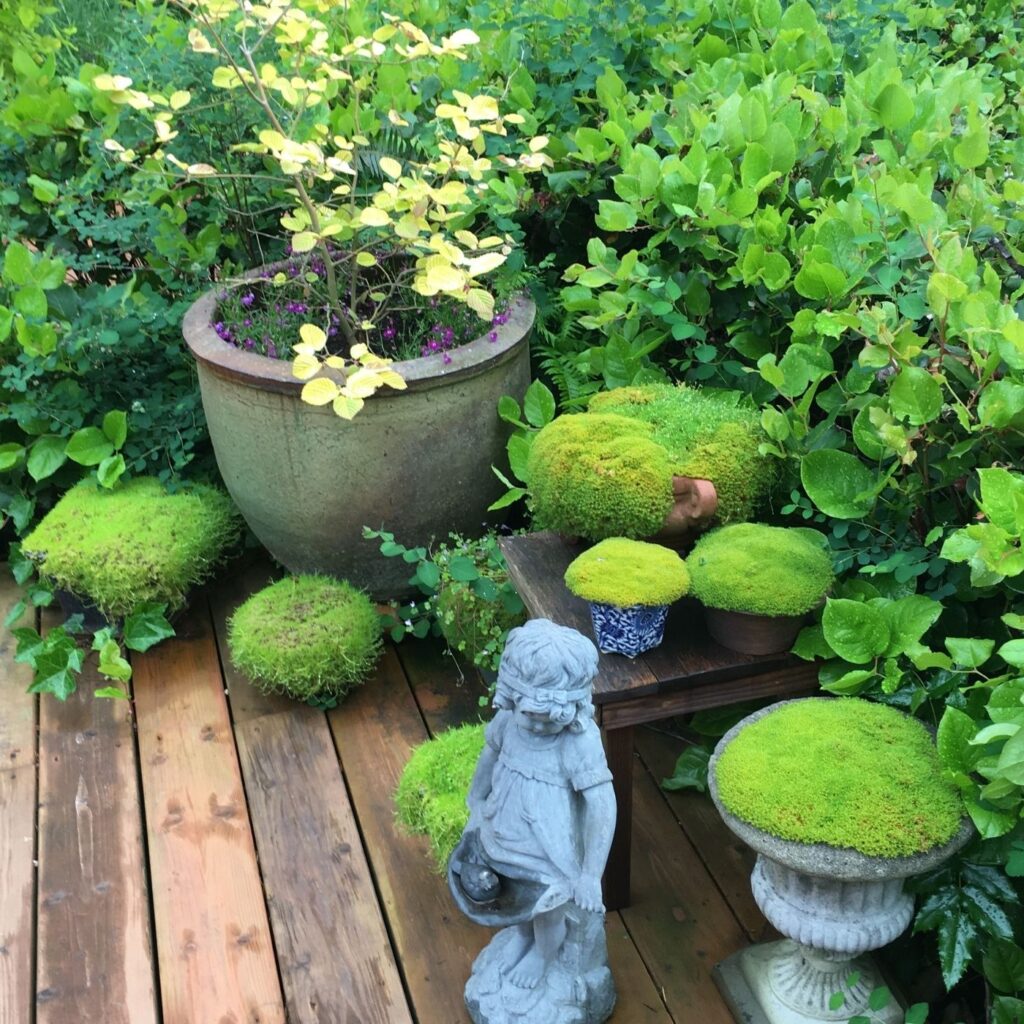 Potting Shed Container Garden
