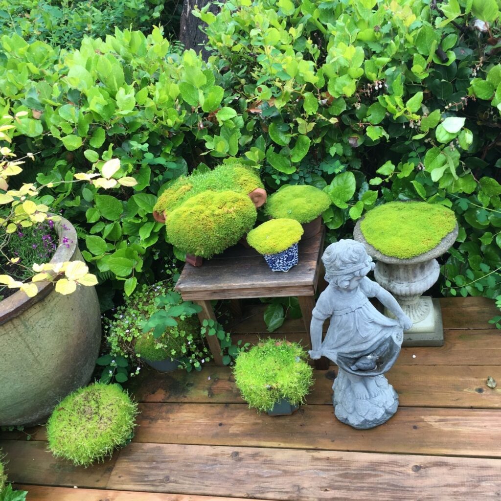 Potting Shed Container Garden