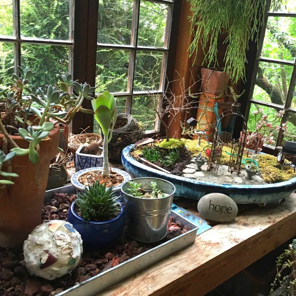 Potting Shed Garden Plants