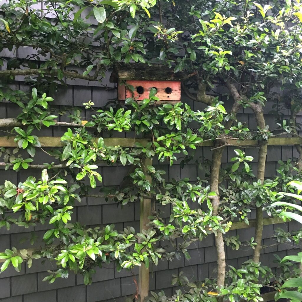 Potting Shed Rustic Birdhouse
