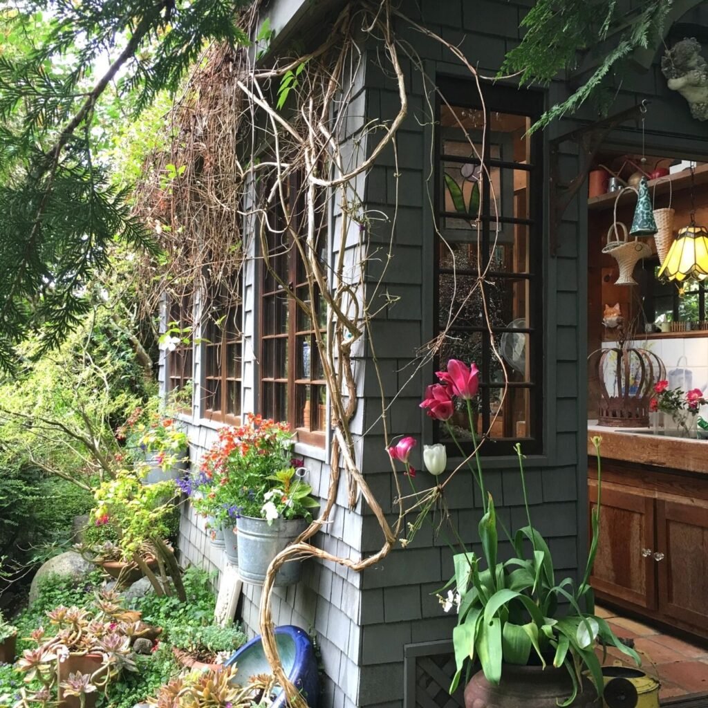 Side of Cottage Garden Shed -2