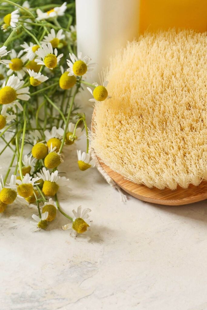Best Simple Living Ideas: Path to Simplicity - Photo of Chamomile & Brush 