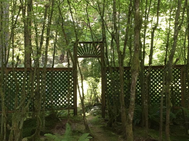 Magical Forest Garden Tour