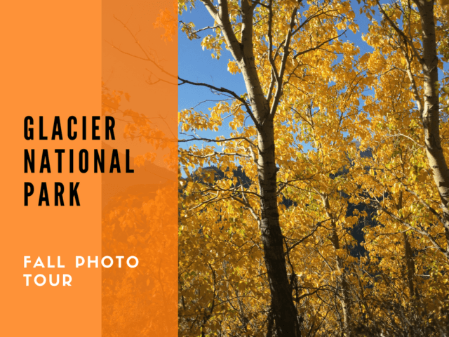 Glacier National Park Fall Photo Tour @montanahappy.com