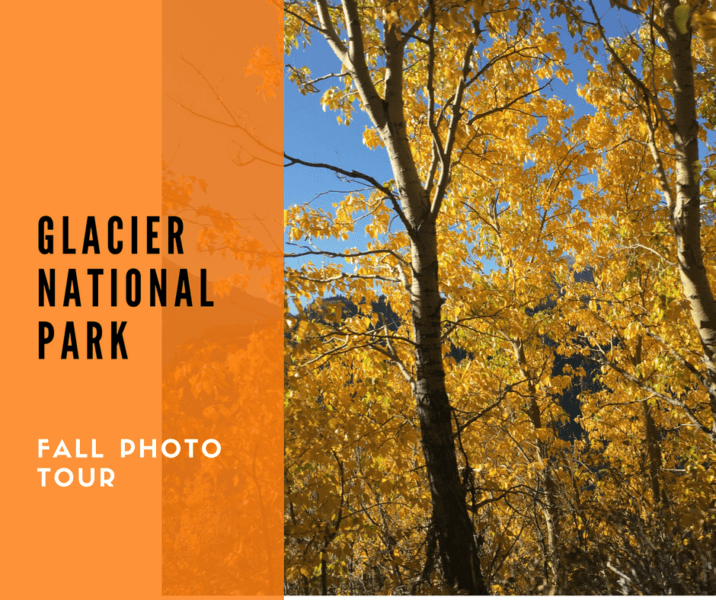 Glacier National Park Fall Photo Tour @montanahappy.com