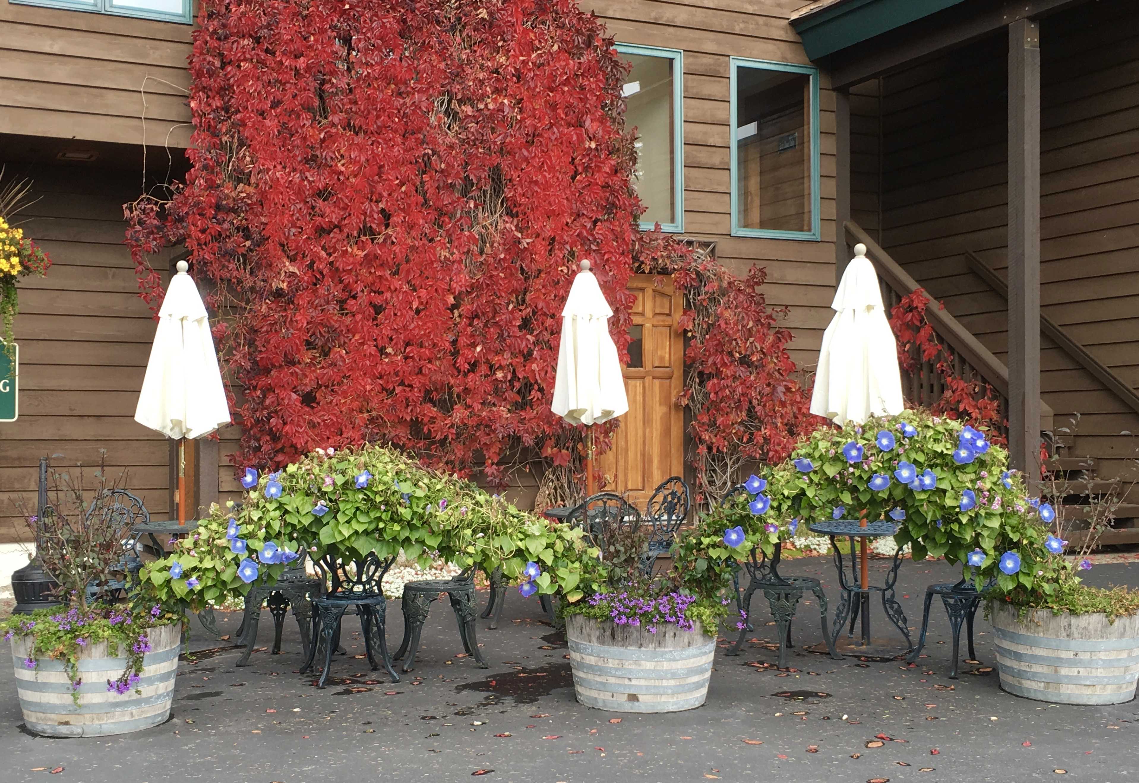 Why You Should Visit Whitefish Montana Montana Happy