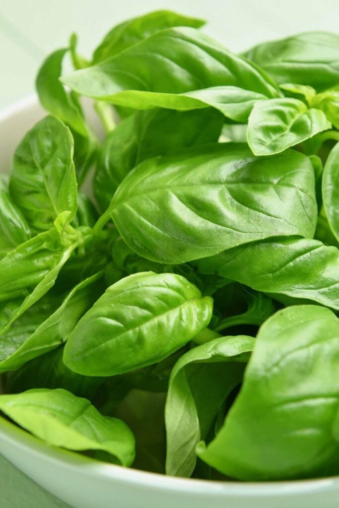 Photo of a Bowl of Fresh Basil Leaves