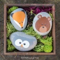 Rock Painting Woodland Animals – Sustain My Craft Habit