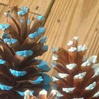 DIY Ombre Pine Cones