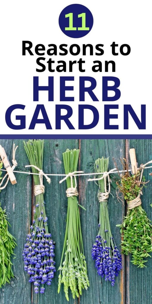 11 Reasons to Start an Herb Garden 