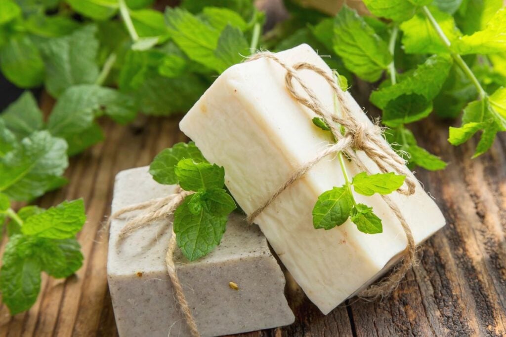 Mint soap with fresh mint tied on top. 