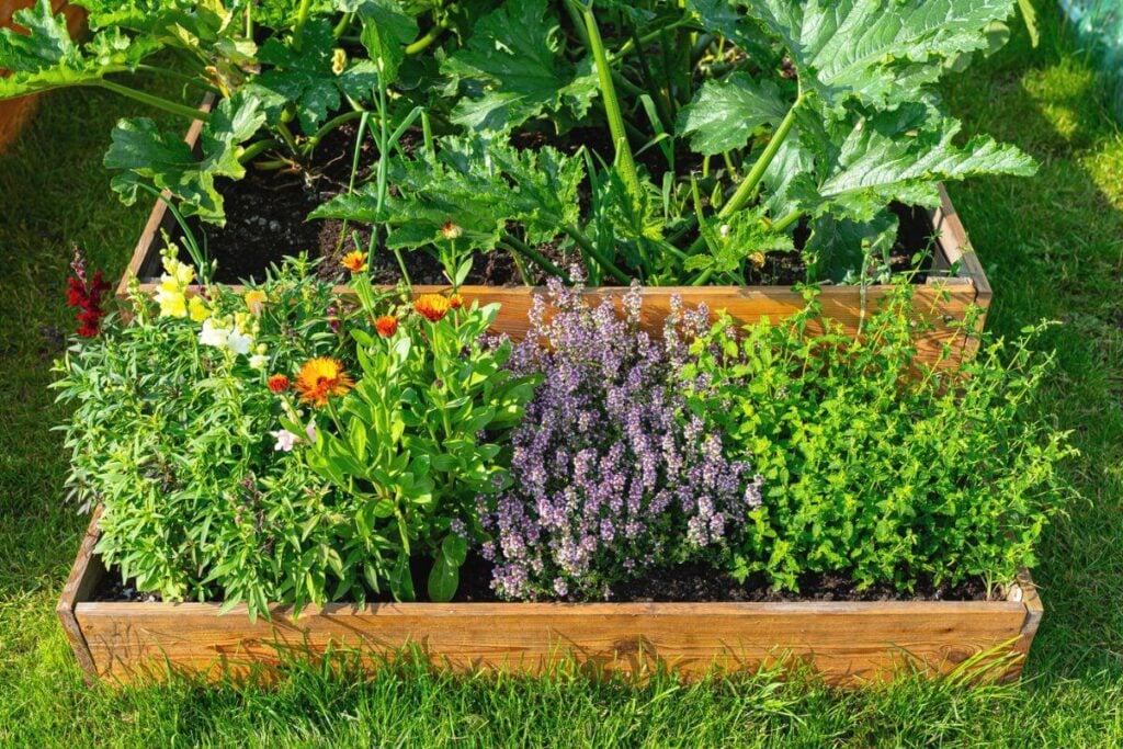 Raised Herb Garden 