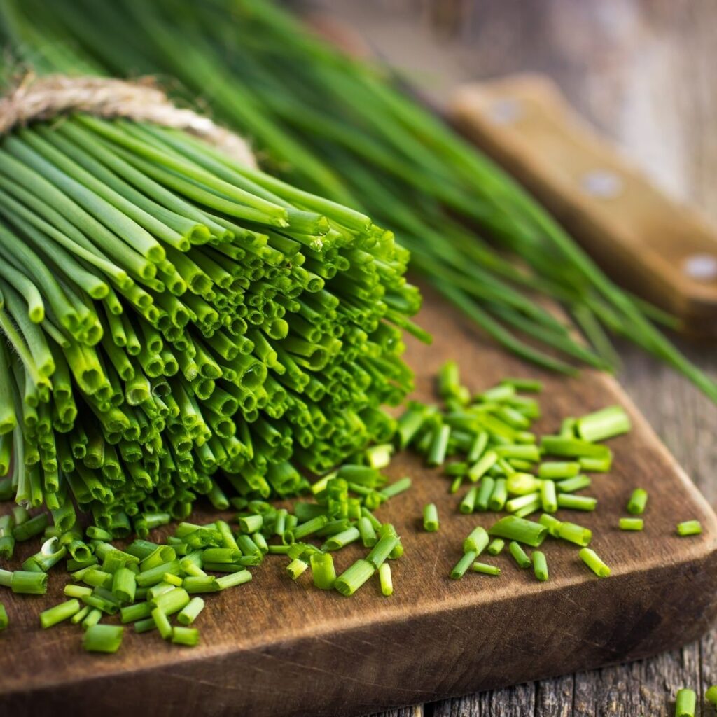 How to Grow Chives in 2021 Growing Chives in Your Herb