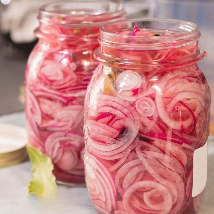 Easy Refrigerator Quick Pickled Red Onions