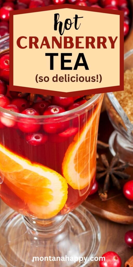 Hot Cranberry Tea Recipe - Christmas Tea Recipe - Warm and comforting, cranberry tea is the kind of Christmas recipe that fills your home with a festive glow before you even take the first sip. This cozy holiday drink blends tart cranberries, citrus, and spice into a beautiful ruby-red brew that feels like Christmas in a cup. Perfect for holiday gatherings, winter mornings, or gifting in a cute mason jar mix, this cranberry tea recipe brings seasonal flavor, nostalgic charm, and a touch of homemade magic to your Christmas celebrations—making it a must-pin for your holiday boards.