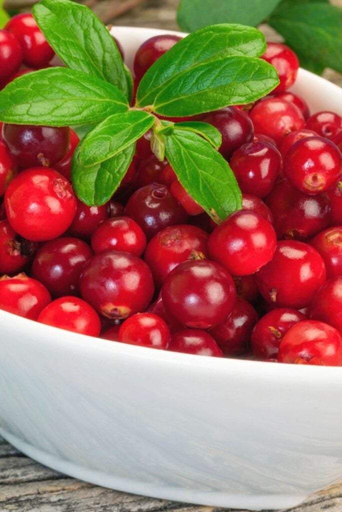How to Make Cranberry Tea - Fresh Cranberries