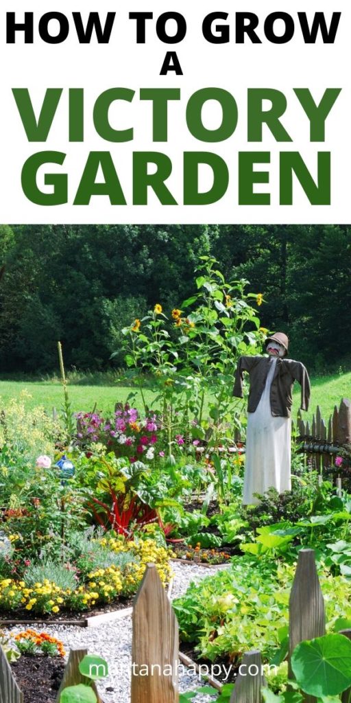 How to Grow a Victory Garden