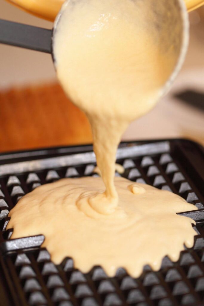Photo of Buttermilk Waffles Batter and Waffle Maker 