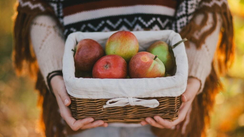 31 Ways to Hygge in the Fall - Woman in a shawl holding a basket of apples.