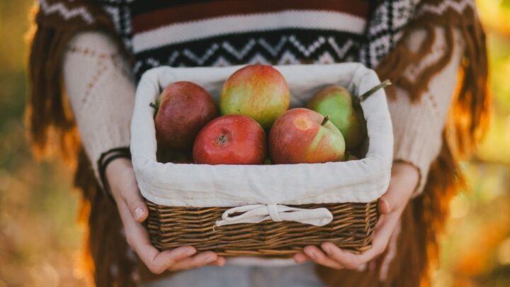 31 Ways to Hygge in the Fall - Woman in a shawl holding a basket of apples.
