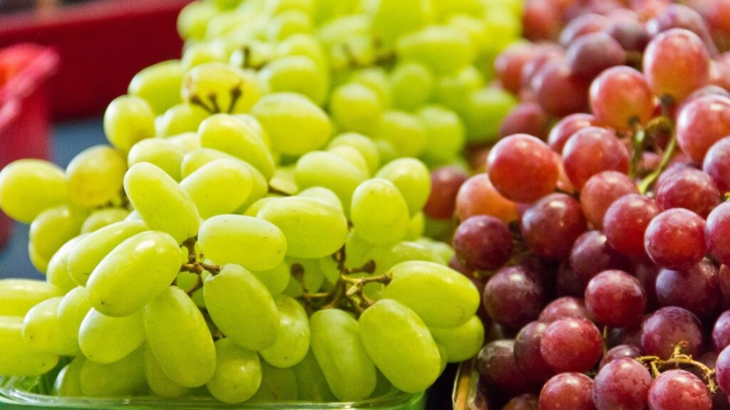Green and Red Grapes