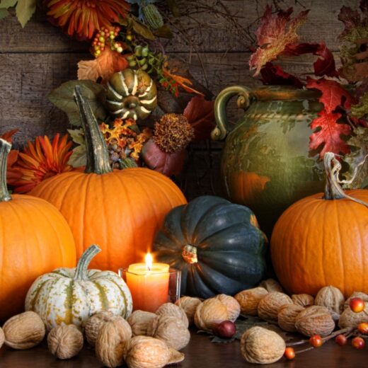 How to Preserve Decorative Gourds to Last Longer Montana Happy