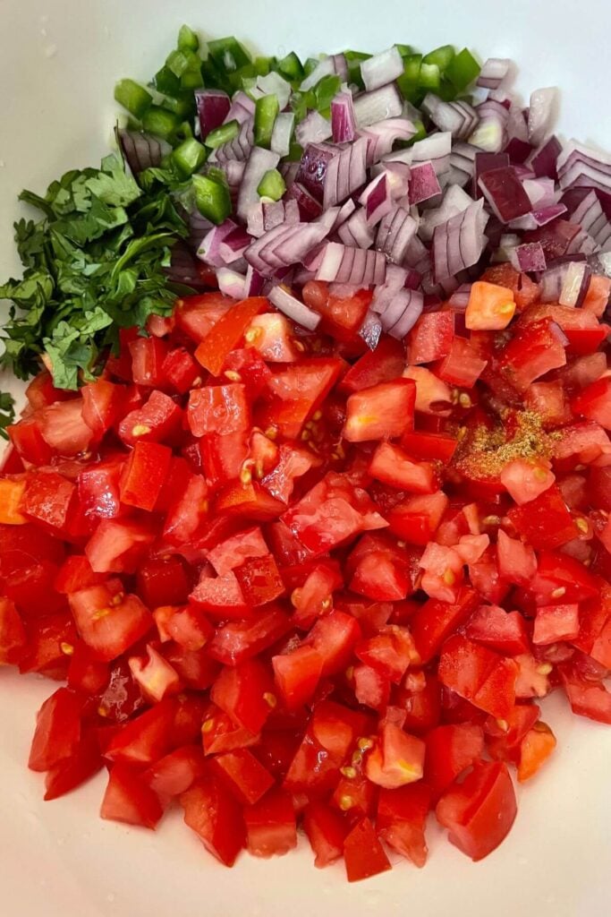Ingredients for Homemade Salsa Fresca Recipe 