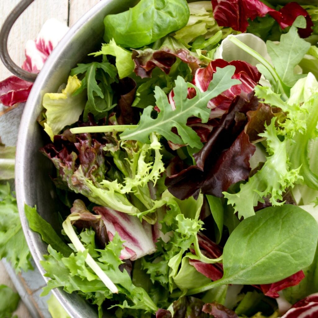 Bowl of Fresh Salad Greens for Creamy Strawberry Salad Dressing