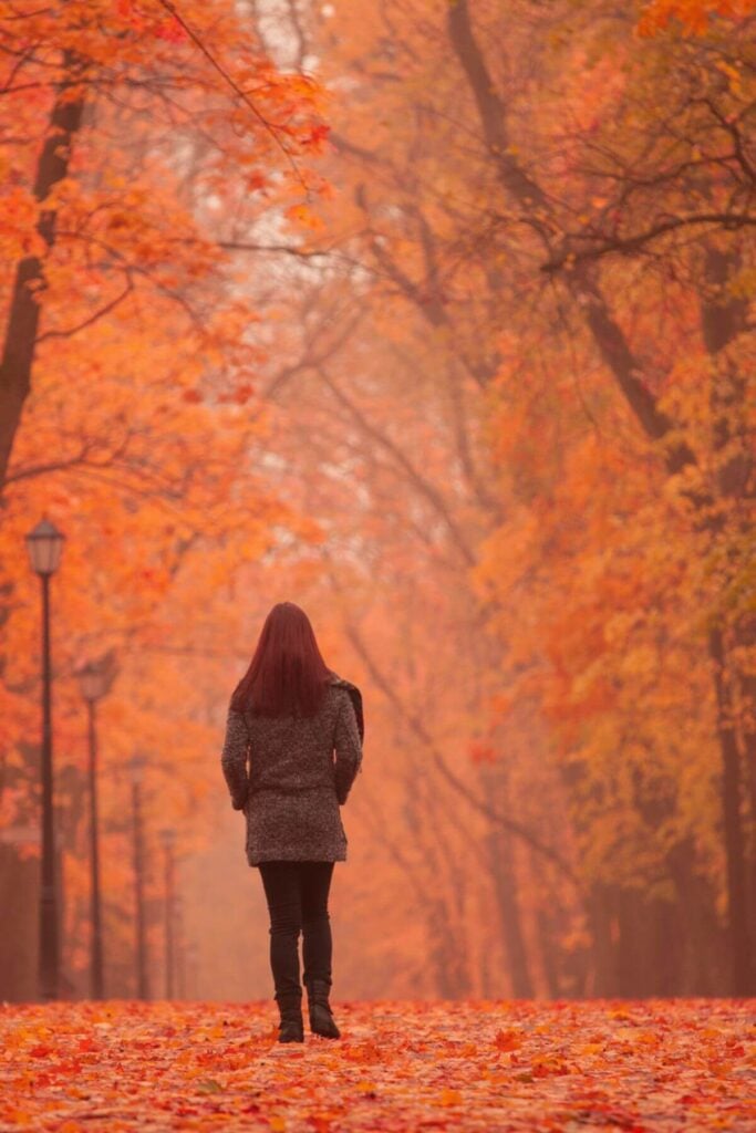 Aesthetic Fall Pictures - Woman Walking Under Autumn Trees