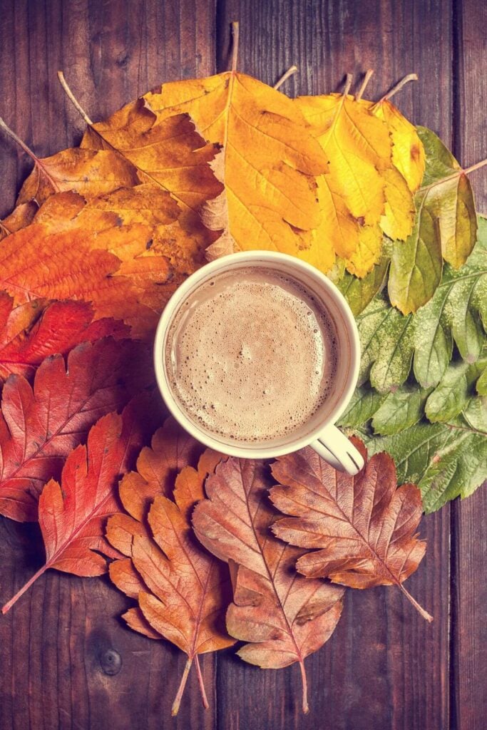 Fall Aesthetic - Coffee with Multi-Colored Autumn Leaves