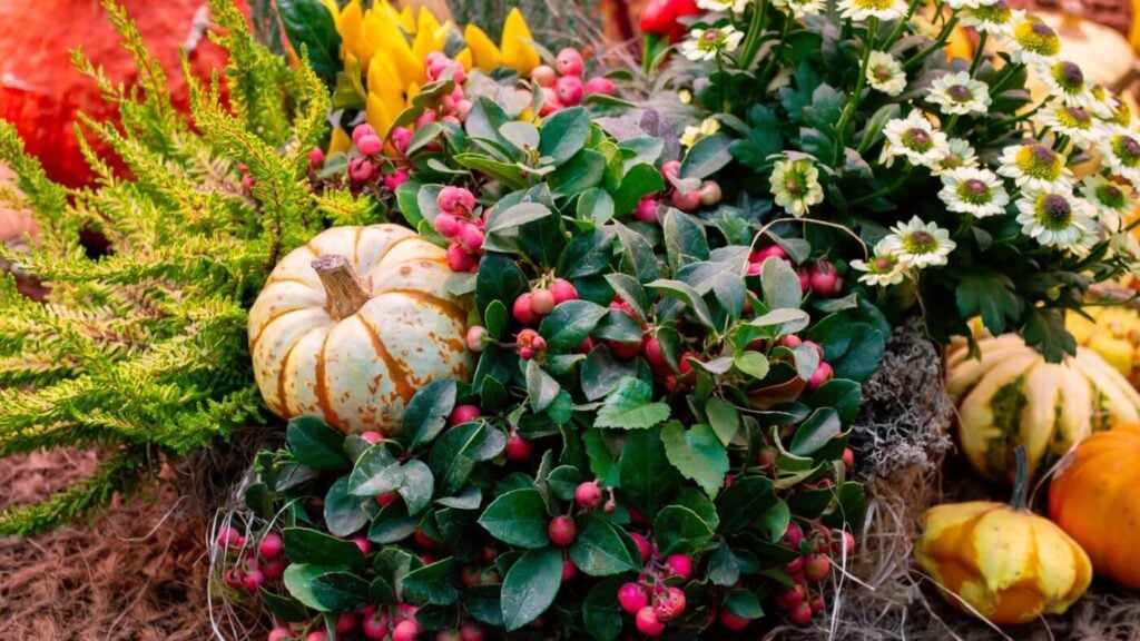 Autumn Aesthetic Flowers & Berries