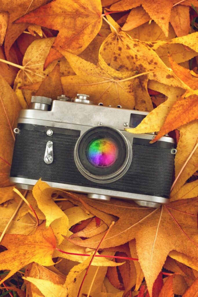 Fall Aesthetic Foliage - Vintage Camera in a Pile of Leaves