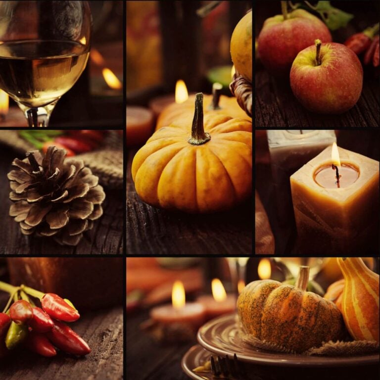Fall Aesthetic Ideas - Collage of Fall Images