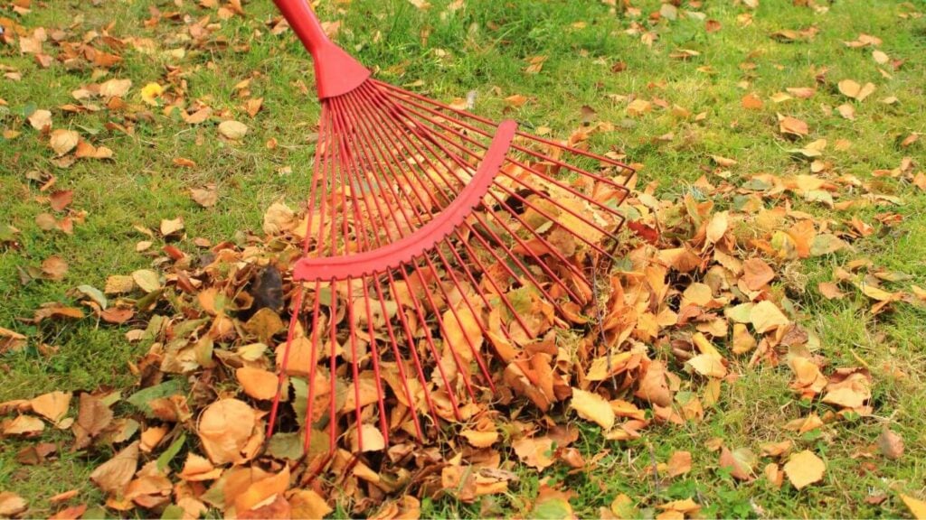 Fall Aesthetic Ideas - Photo of a Red Rake in Fall Leaves