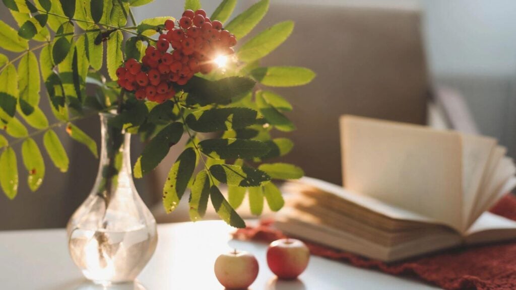 Autumn Home Decor with Berries in a Vase