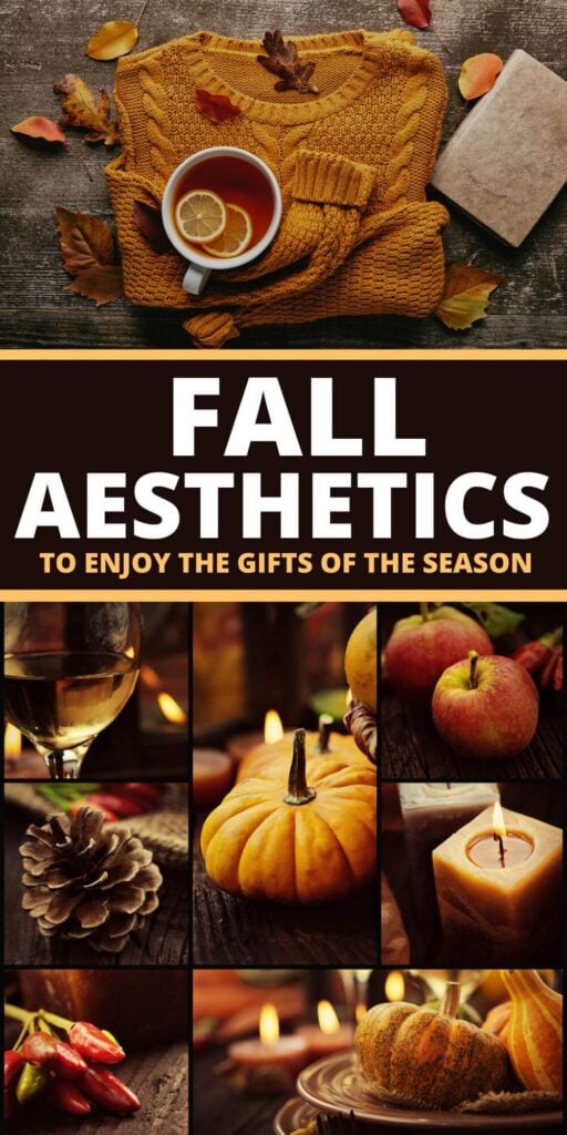 Fall Aesthetics - Capture the magic of autumn with this fall aesthetic inspiration that’s perfect for cozy living and Pinterest-worthy decor. Think golden leaves, rustic pumpkins, plaid blankets, and warm candlelight that instantly transform your space into a seasonal retreat. Whether you’re styling a charming fall tablescape, curating layered outfits for crisp autumn walks, or simply embracing the cozy vibes at home, this guide will spark ideas that make every moment picture-perfect. Pin now and get inspired with the best fall aesthetic trends—from simple farmhouse touches to dreamy autumn color palettes that will go viral on Pinterest.