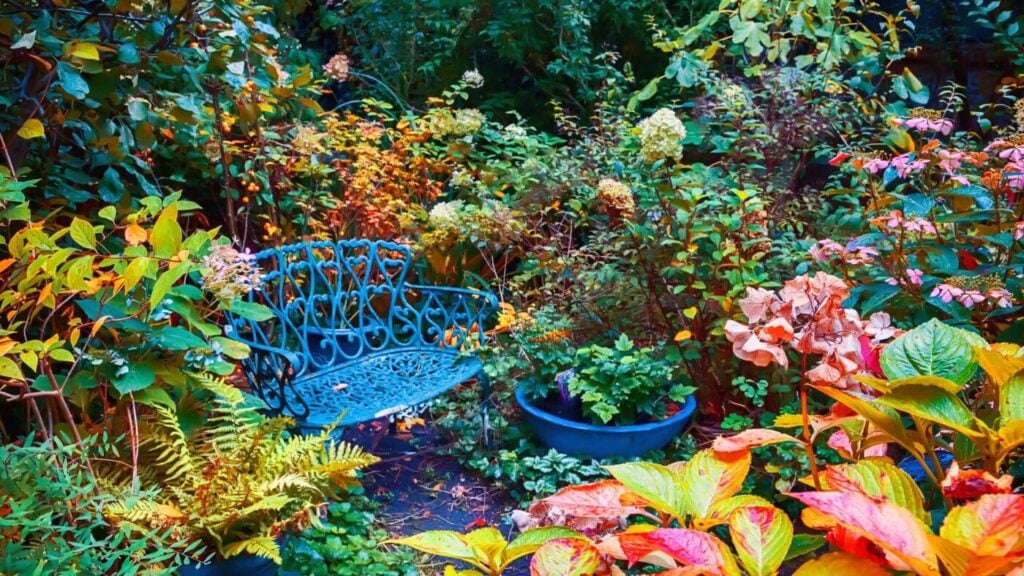 Aesthetic Fall Pictures of a Garden