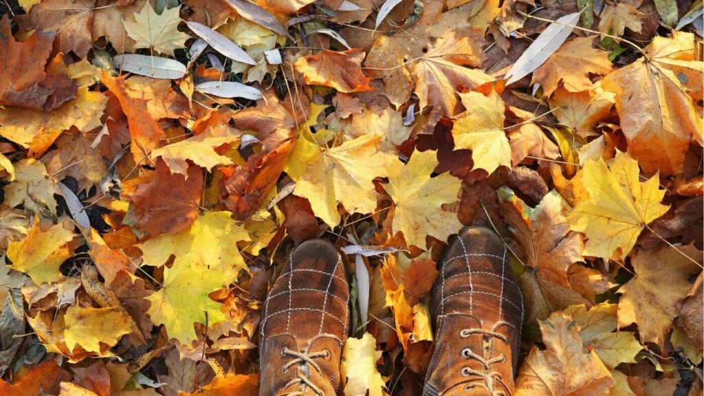 Fall Photo Aesthetic - Vintage Boots in the Fall Leaves
