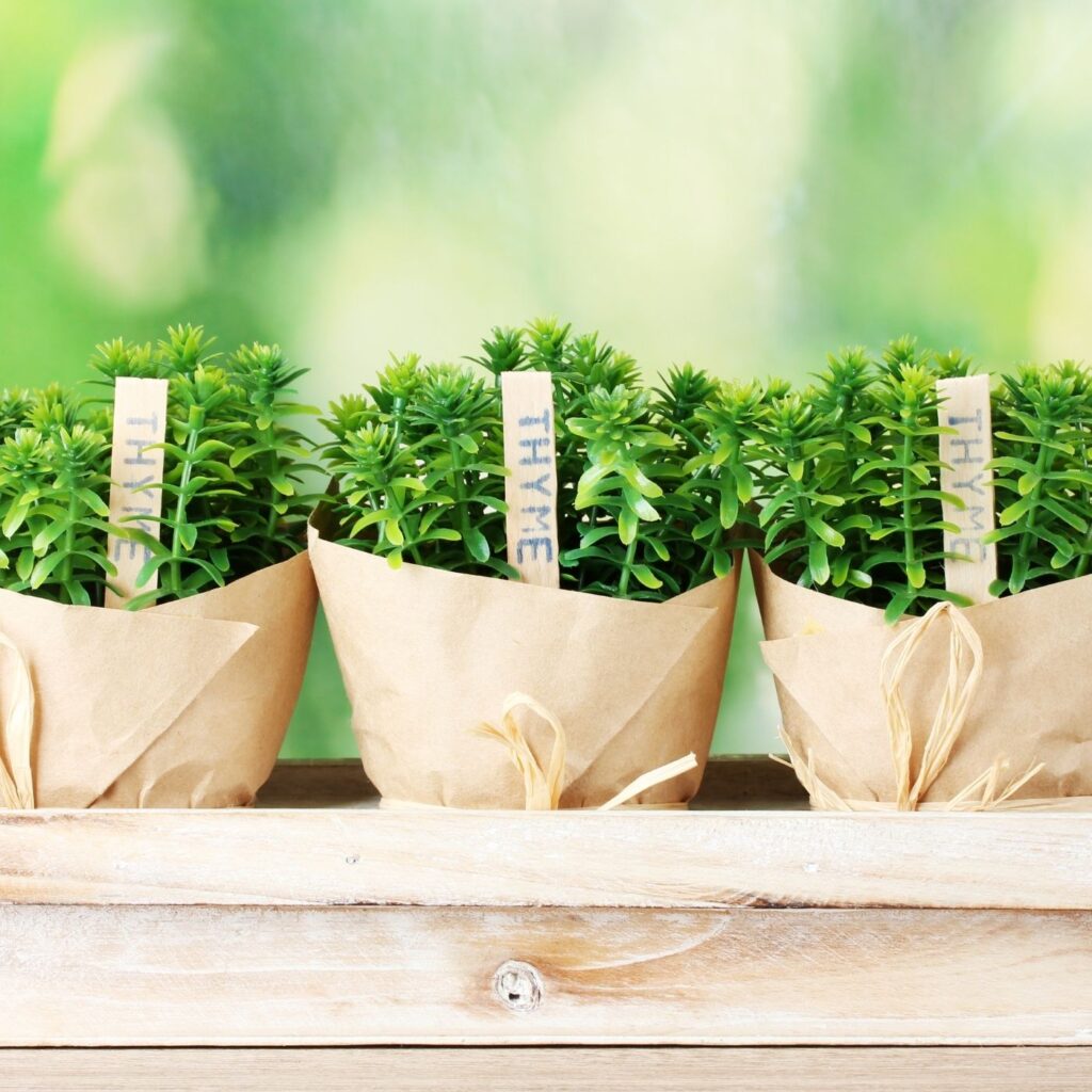 Simple Hostess Gifts - Herb Pots