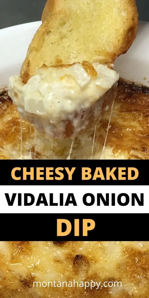 THE BEST Sweet Vidalia Onion Dip Montana Happy