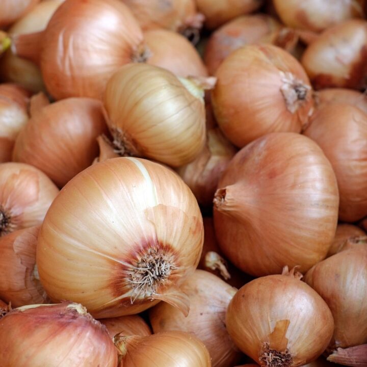 Yellow Onions for Cream of Onion Soup Recipe