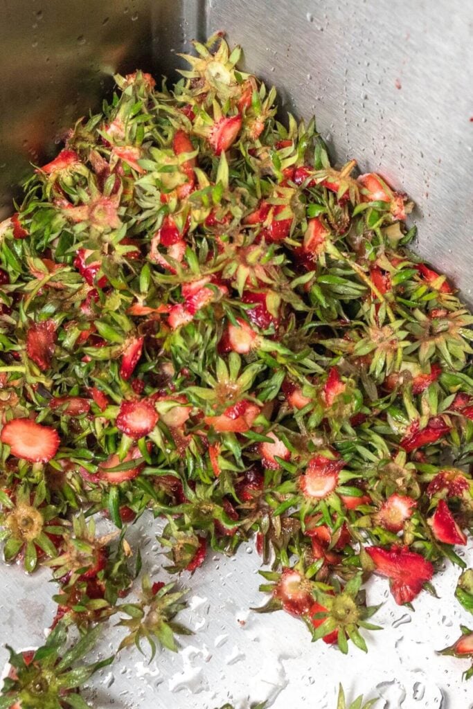 Photo of a Pile of Strawberry Tops