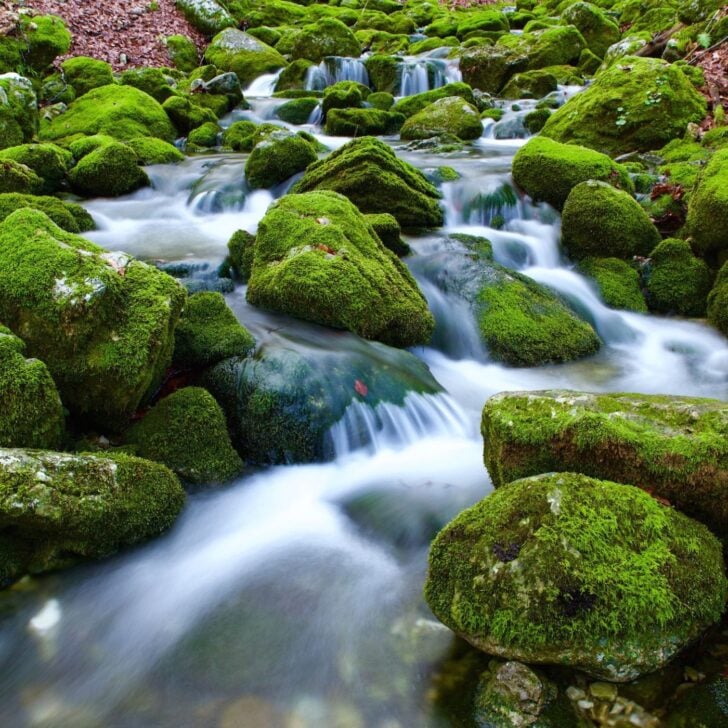 Everyday Hygge Quotes - River 