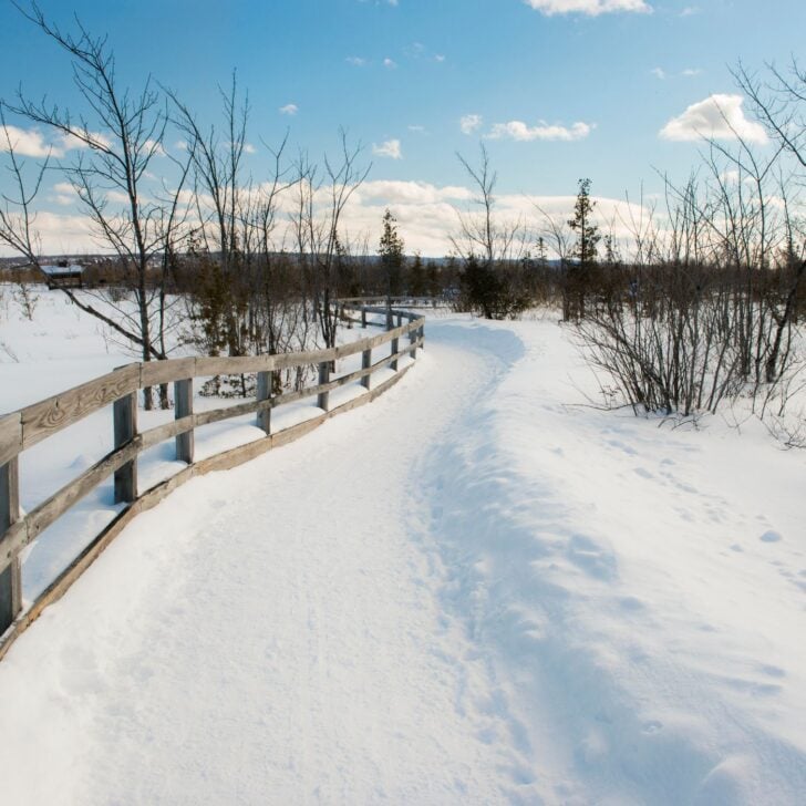 Hygge Quotes About Adventure - Pathway in the Snow 
