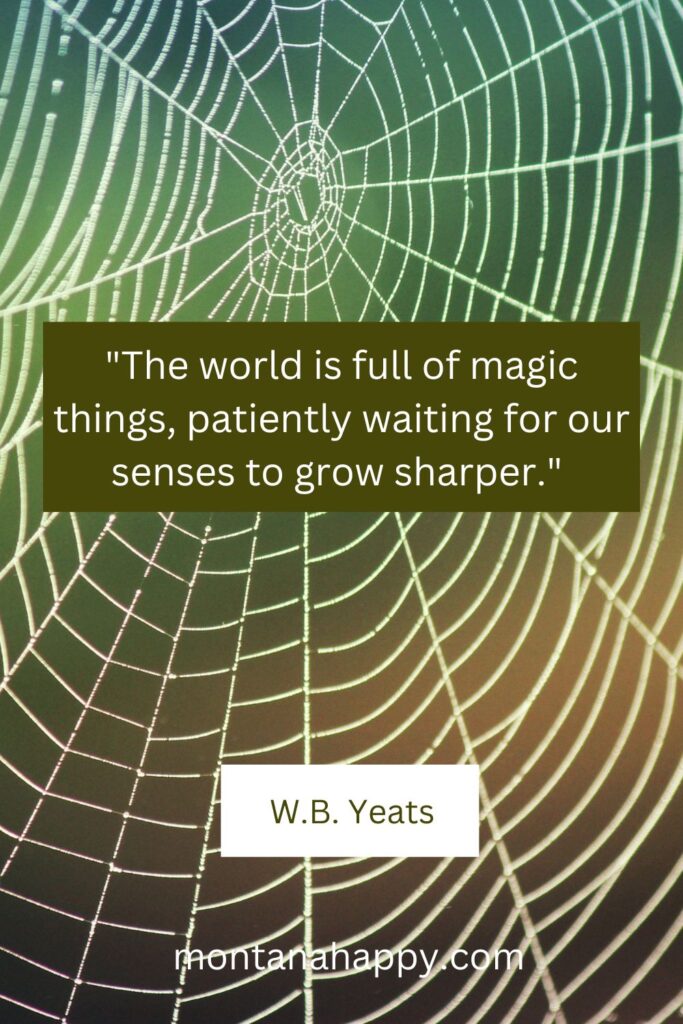 Simple Life Quotes - W.B. Yeats Quote